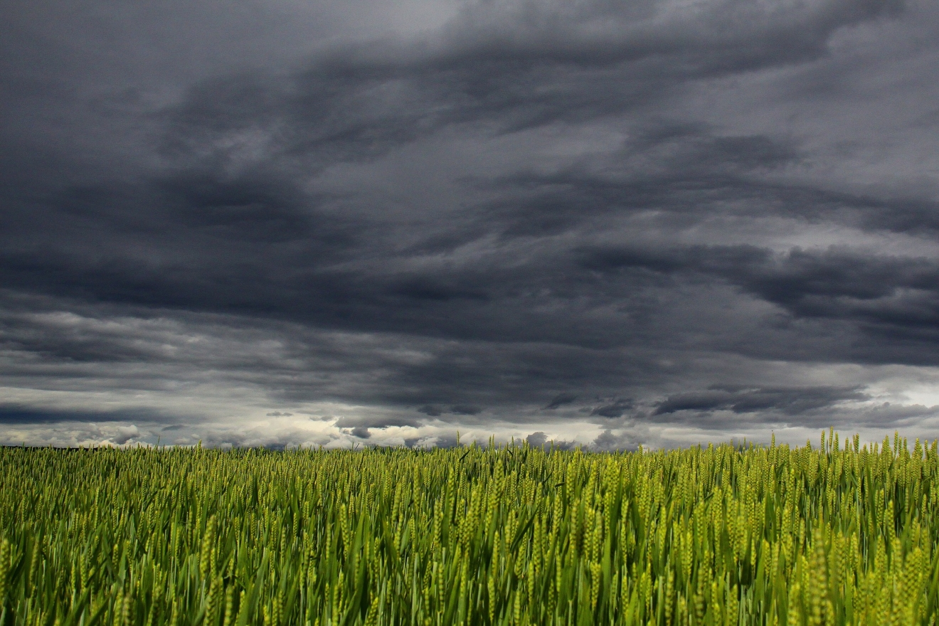 wolken